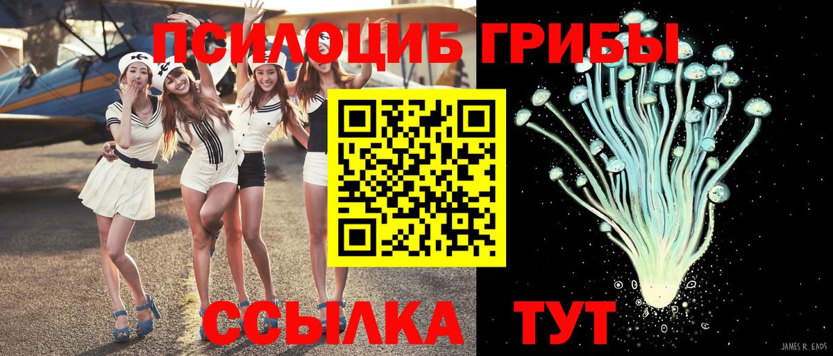 хочу наркоту  Вход с VPN  Барнаул  Галлюциногенные грибы MAGIC MUSHROOMS 