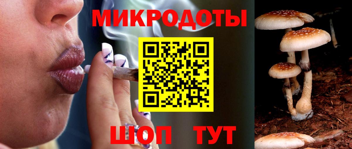 Галлюциногенные грибы мицелий Барнаул